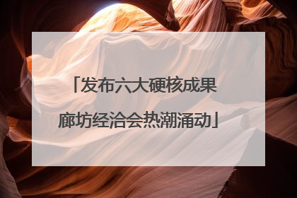发布六大硬核成果 廊坊经洽会热潮涌动