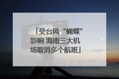 受台风“蝴蝶”影响 海南三大机场取消多个航班
