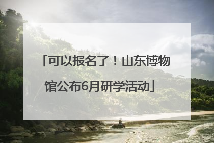 可以报名了！山东博物馆公布6月研学活动