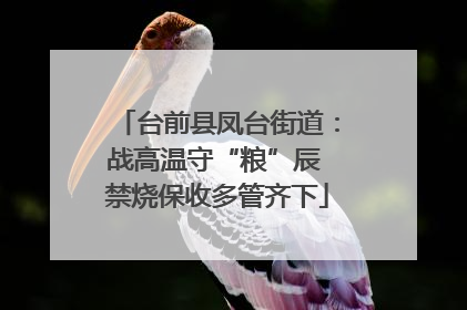 台前县凤台街道：战高温守“粮”辰 禁烧保收多管齐下