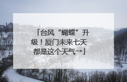 台风“蝴蝶”升级！厦门未来七天都是这个天气→