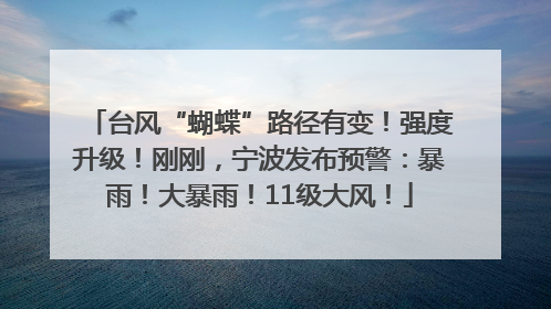 台风“蝴蝶”路径有变！强度升级！刚刚，宁波发布预警：暴雨！大暴雨！11级大风！
