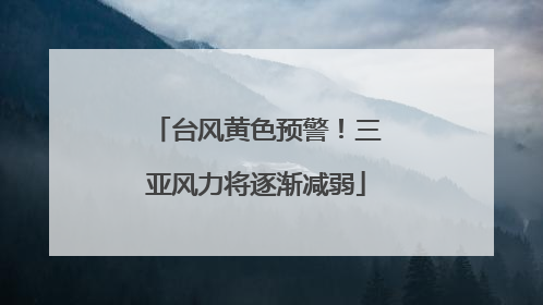 台风黄色预警！三亚风力将逐渐减弱