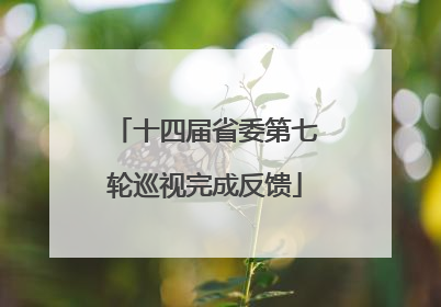 十四届省委第七轮巡视完成反馈