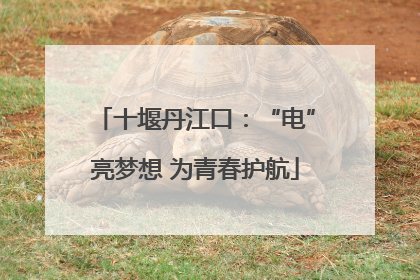 十堰丹江口：“电”亮梦想 为青春护航