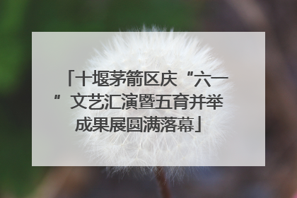 十堰茅箭区庆“六一”文艺汇演暨五育并举成果展圆满落幕