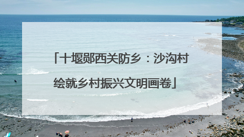 十堰郧西关防乡：沙沟村绘就乡村振兴文明画卷