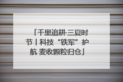 千里追耕·三夏时节丨科技“铁军”护航 麦收颗粒归仓