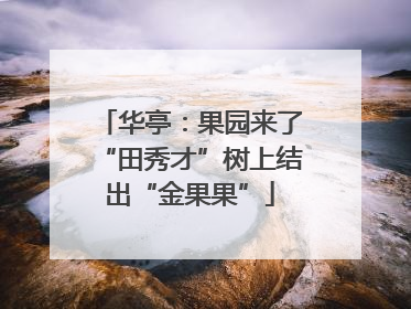 华亭：果园来了“田秀才”树上结出“金果果”