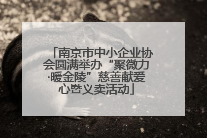 南京市中小企业协会圆满举办“聚微力·暖金陵”慈善献爱心暨义卖活动
