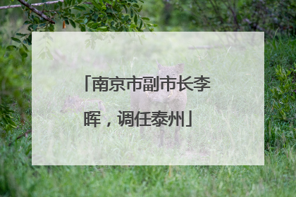 南京市副市长李晖，调任泰州