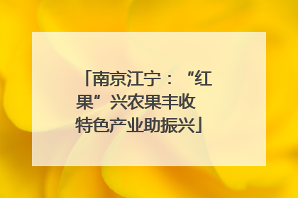 南京江宁：“红果”兴农果丰收 特色产业助振兴