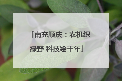 南充顺庆：农机织绿野 科技绘丰年