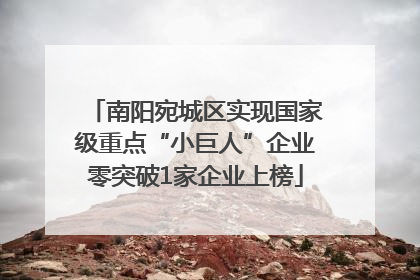 南阳宛城区实现国家级重点“小巨人”企业零突破1家企业上榜