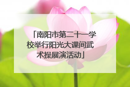 南阳市第二十一学校举行阳光大课间武术操展演活动
