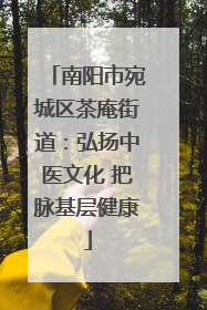 南阳市宛城区茶庵街道：弘扬中医文化 把脉基层健康
