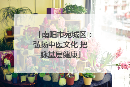 南阳市宛城区：弘扬中医文化 把脉基层健康