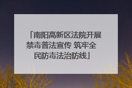 南阳高新区法院开展禁毒普法宣传 筑牢全民防毒法治防线