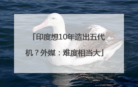 印度想10年造出五代机？外媒：难度相当大