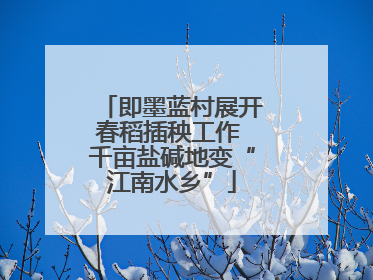 即墨蓝村展开春稻插秧工作 千亩盐碱地变“江南水乡”