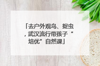 去户外观鸟、捉虫，武汉流行带孩子“培优”自然课