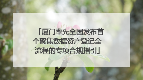 厦门率先全国发布首个聚焦数据资产登记全流程的专项合规指引