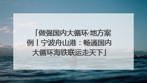 做强国内大循环·地方案例丨宁波舟山港：畅通国内大循环海铁联运走天下