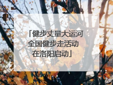 健步丈量大运河 全国健步走活动在洛阳启动