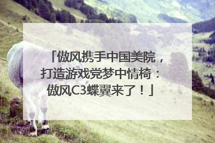 傲风携手中国美院，打造游戏党梦中情椅：傲风C3蝶翼来了！