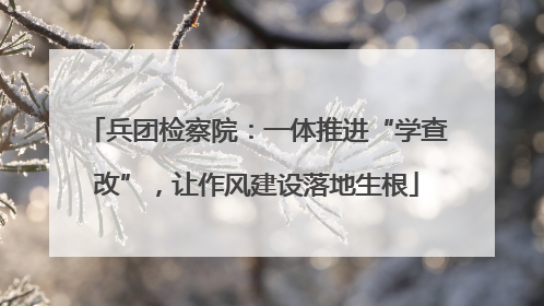 兵团检察院：一体推进“学查改”，让作风建设落地生根