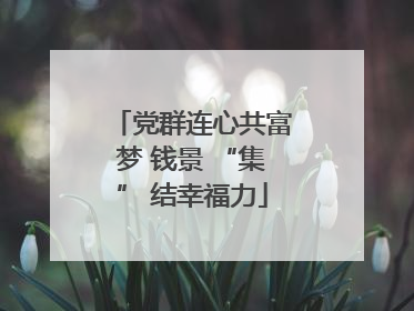 党群连心共富梦 钱景 “集” 结幸福力