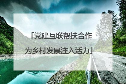 党建互联帮扶合作 为乡村发展注入活力