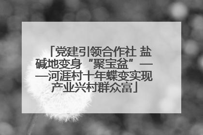 党建引领合作社 盐碱地变身“聚宝盆”——河涯村十年蝶变实现产业兴村群众富