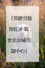 党建引领育匠才 筑梦北京城市副中心