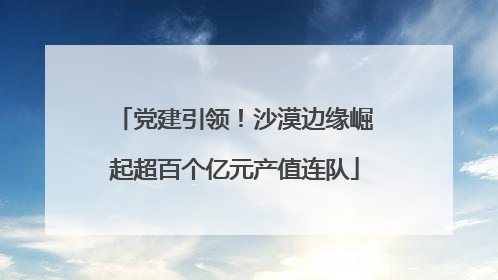 党建引领！沙漠边缘崛起超百个亿元产值连队