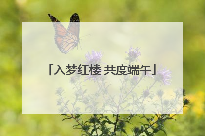 入梦红楼 共度端午
