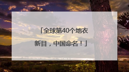 全球第40个地衣新目，中国命名！