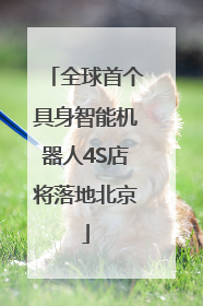 全球首个具身智能机器人4S店将落地北京