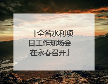 全省水利项目工作现场会在永春召开