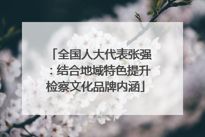 全国人大代表张强：结合地域特色提升检察文化品牌内涵