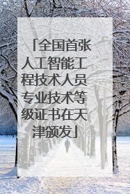 全国首张人工智能工程技术人员专业技术等级证书在天津颁发
