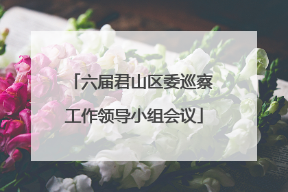 六届君山区委巡察工作领导小组会议