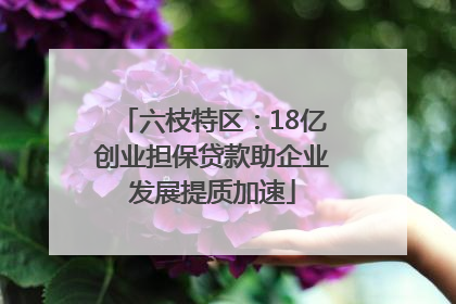 六枝特区：18亿创业担保贷款助企业发展提质加速