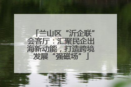 兰山区“沂企联”会客厅：汇聚民企出海新动能，打造跨境发展“强磁场”