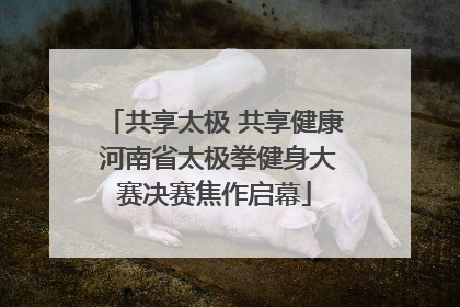 共享太极 共享健康 河南省太极拳健身大赛决赛焦作启幕