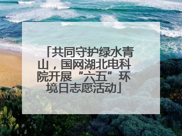 共同守护绿水青山，国网湖北电科院开展“六五”环境日志愿活动