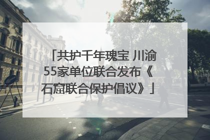 共护千年瑰宝 川渝55家单位联合发布《石窟联合保护倡议》
