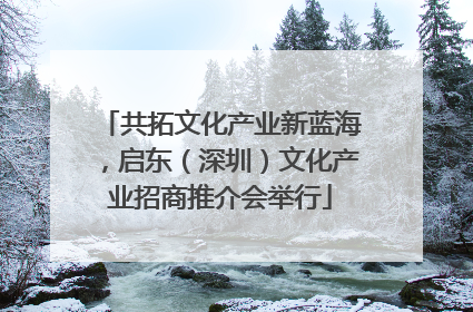 共拓文化产业新蓝海，启东（深圳）文化产业招商推介会举行