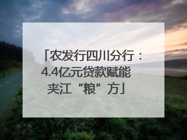 农发行四川分行：4.4亿元贷款赋能夹江“粮”方