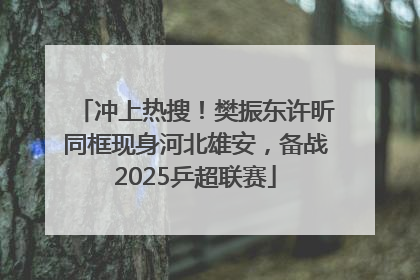 冲上热搜！樊振东许昕同框现身河北雄安，备战2025乒超联赛